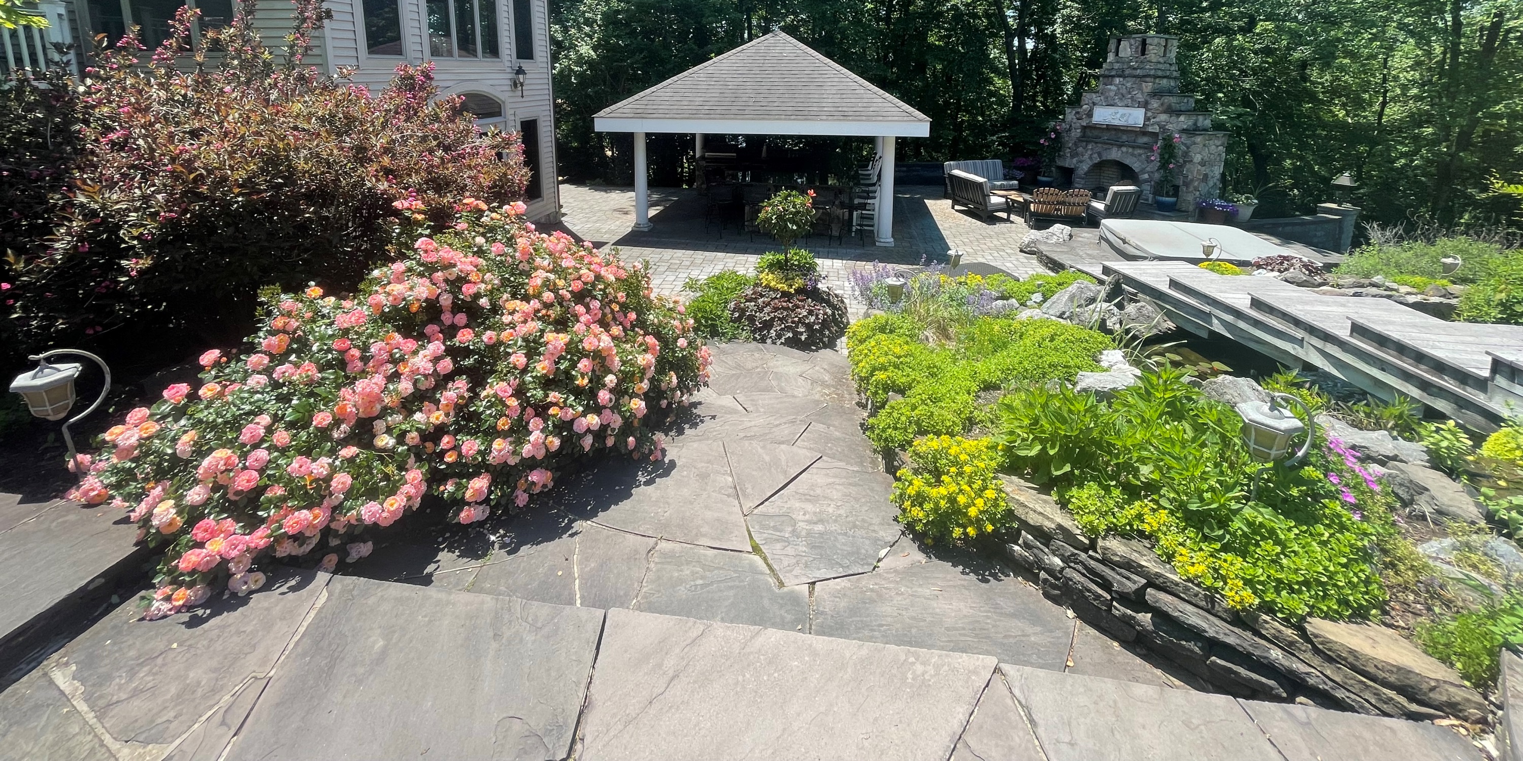 Sykesville MD Landscape Flowers Shrubs